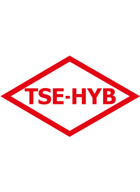 TSE - HYB